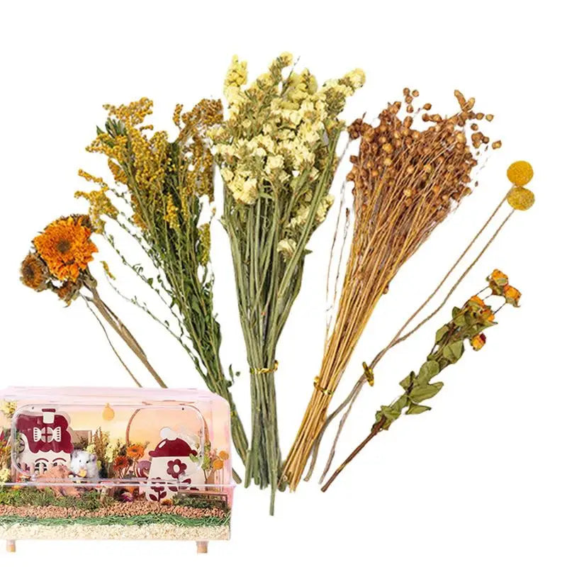 Flower And Plant Bedding Hamster Deodorizing Bedding Golden Bear Nest Landscaping Supplies Dried Flowers