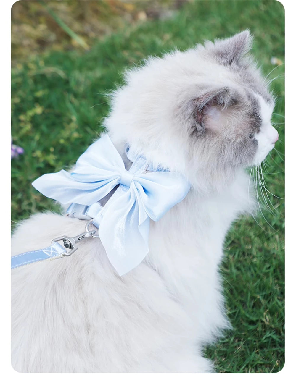 Cute Bowknot Cat Harness Accessories Princess Cat Dress Costumes Kitten Puppy Harness For Cats Leash