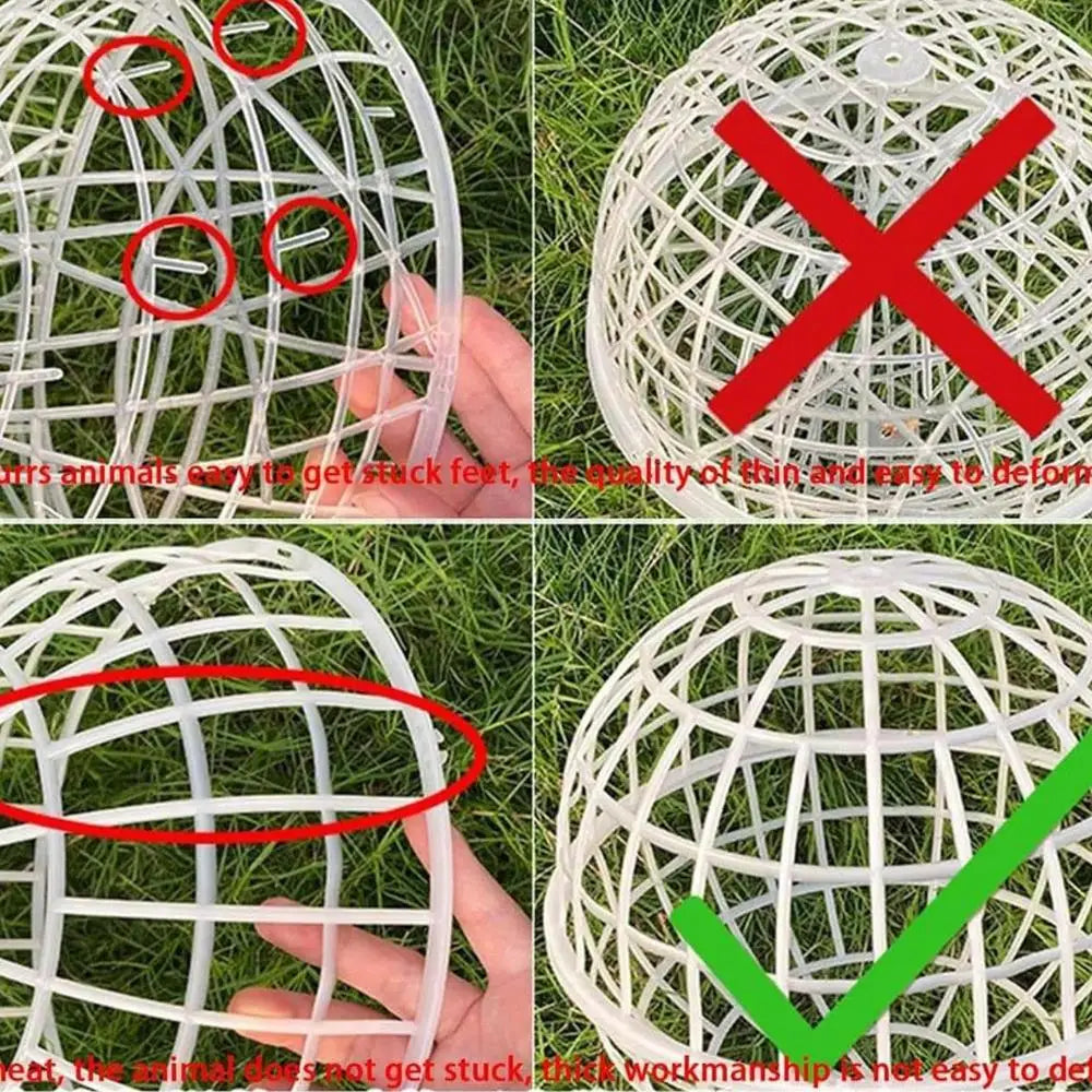 Chicken Rolling Ball Cage 3 Pieces Pet Safety Cage Spherical Chicken Orb Ball Cage Ball-Shaped Chicken Hamster Ball Cage Safe