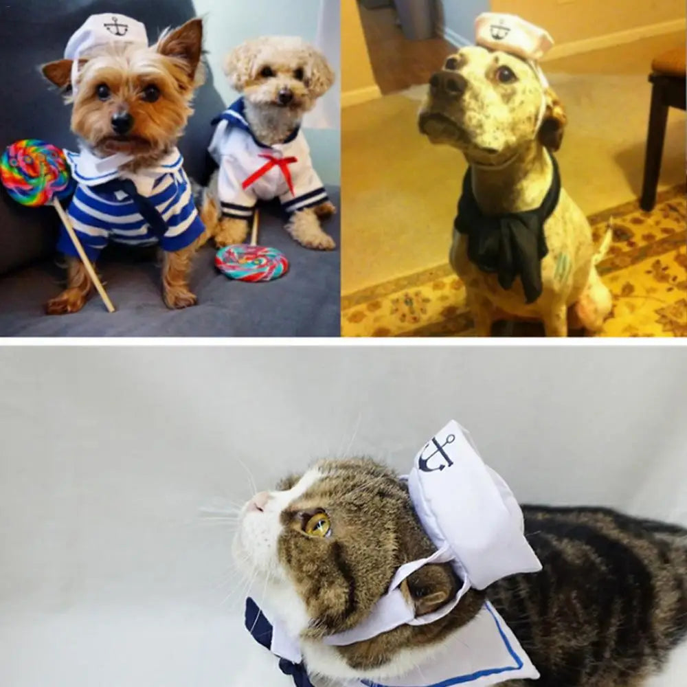 Lovely Stylish Navy And Sailor Style Hat Plus Scarf Suit For Dogs And Cats Pet Cap And Cape Navy Cloak Cat Cosplay Cloth