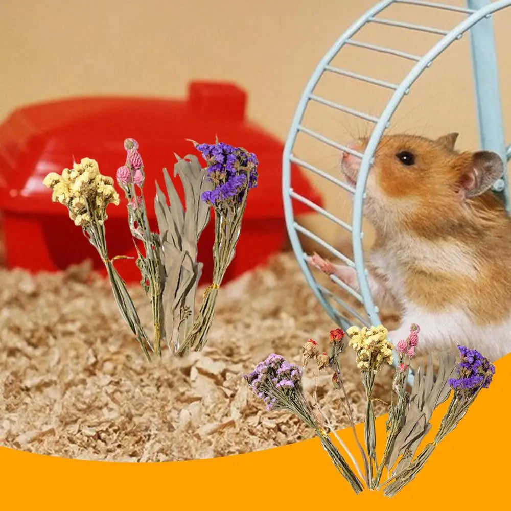 Flower And Plant Bedding Hamster Deodorizing Bedding Golden Bear Nest Landscaping Supplies Dried Flowers