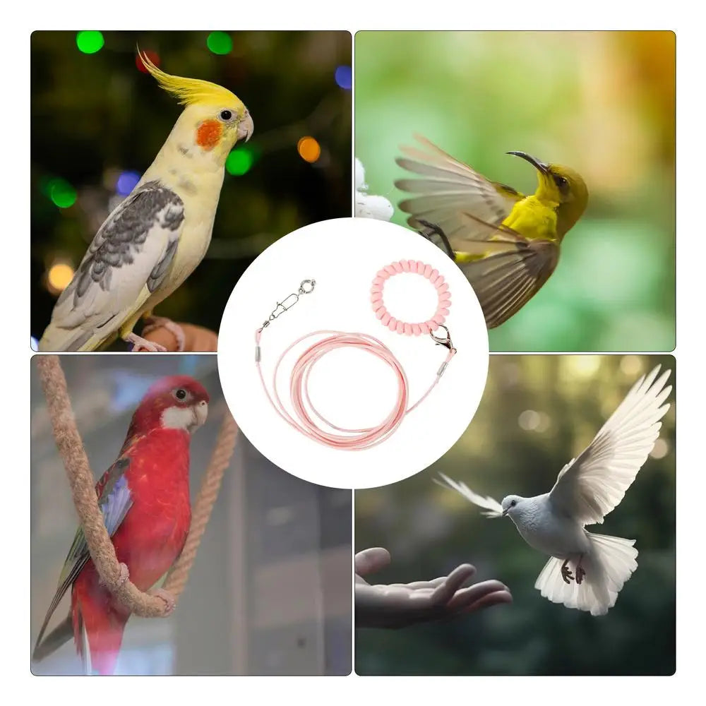 Bird Flying Training Rope Lightweight Pet Parrot Rope For Outdoor Flying Biting-Resistant Bird Training Toy With Ankle Foot Ring