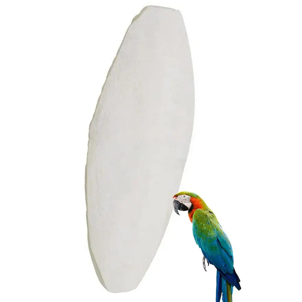 10pcs Cuttlefish Bone Parrot Chewing Toys Creative Parrot Chewing Toy Bird Food Calcium Cuttlebone Pick Stone Pet Products