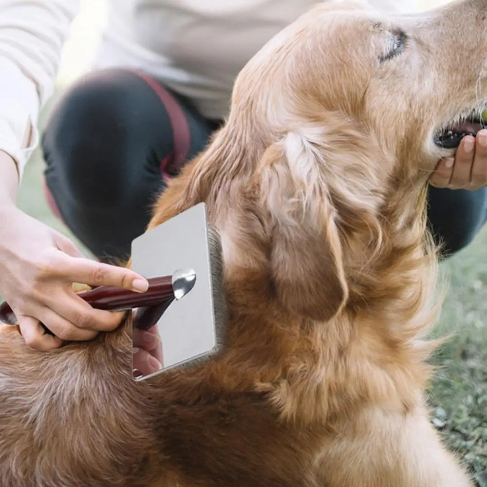 Dogs Grooming Comb cats Shedding Slicker Brush Portable Dog Massage Clean Tangled Brush For Small Medium Large Dogs Cats Pets