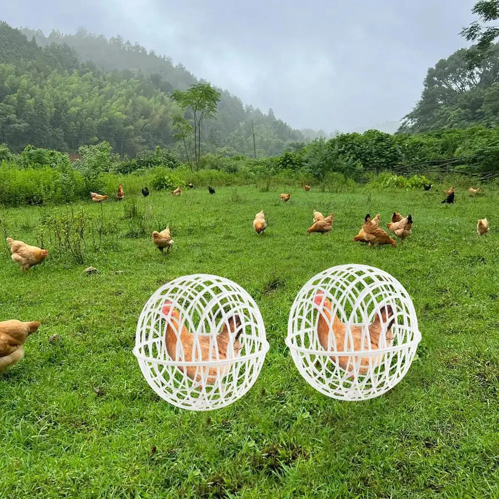 Chicken Rolling Ball Cage 3 Pieces Pet Safety Cage Spherical Chicken Orb Ball Cage Ball-Shaped Chicken Hamster Ball Cage Safe
