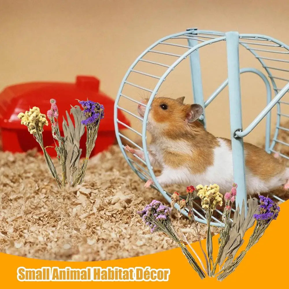 Flower And Plant Bedding Hamster Deodorizing Bedding Golden Bear Nest Landscaping Supplies Dried Flowers
