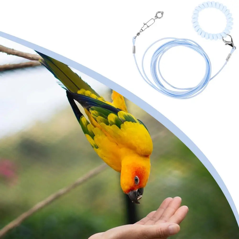 Bird Flying Training Rope Lightweight Pet Parrot Rope For Outdoor Flying Biting-Resistant Bird Training Toy With Ankle Foot Ring