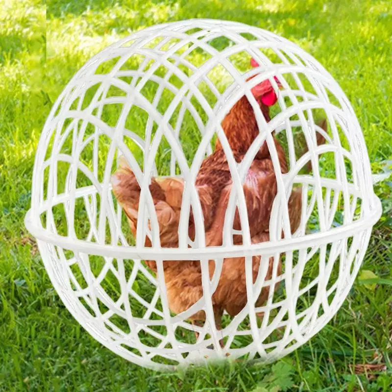 Chicken Rolling Ball Cage 3 Pieces Pet Safety Cage Spherical Chicken Orb Ball Cage Ball-Shaped Chicken Hamster Ball Cage Safe