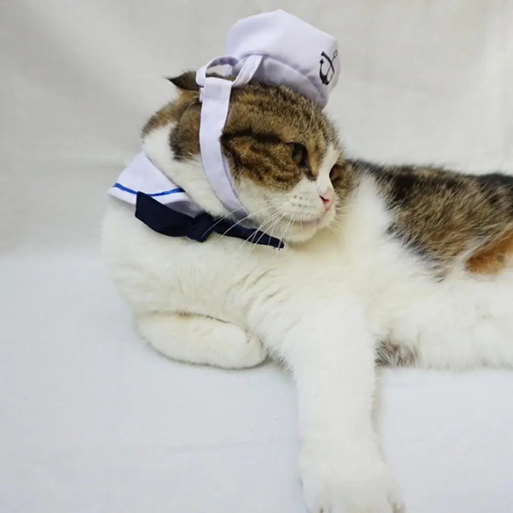 Lovely Stylish Navy And Sailor Style Hat Plus Scarf Suit For Dogs And Cats Pet Cap And Cape Navy Cloak Cat Cosplay Cloth