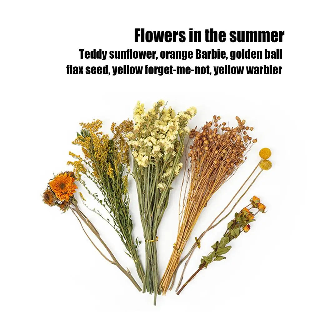 Flower And Plant Bedding Hamster Deodorizing Bedding Golden Bear Nest Landscaping Supplies Dried Flowers