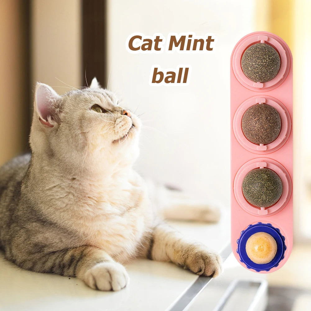 For Cat Mint Ball Healthy Natural Safety Pet Catnip Toys Cat Nip Lollipop Catmint Supplies Matatabi Cleaning Teeth Stick Molar