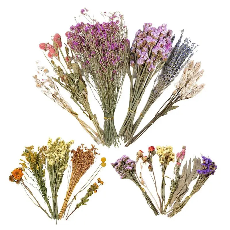 Flower And Plant Bedding Hamster Deodorizing Bedding Golden Bear Nest Landscaping Supplies Dried Flowers