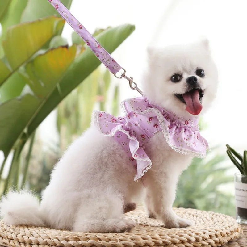 Dog Cat Harness Leash Set Adjustable Lace Floral Printed Pet Harness Vest Cute Dog Dress Pubby Mesh Harness Cat Walking Lead