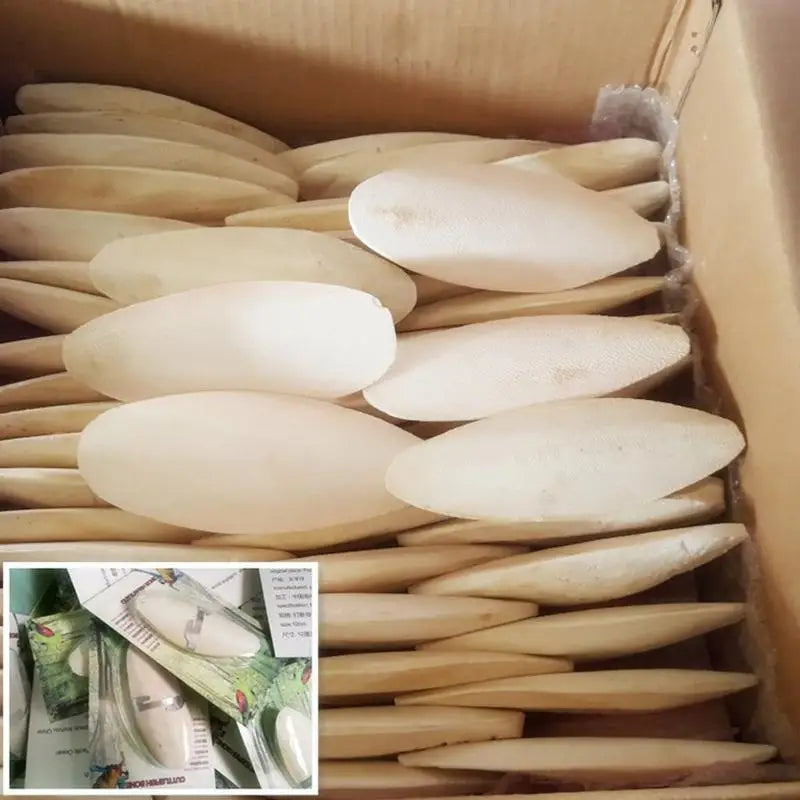 10pcs Cuttlefish Bone Parrot Chewing Toys Creative Parrot Chewing Toy Bird Food Calcium Cuttlebone Pick Stone Pet Products