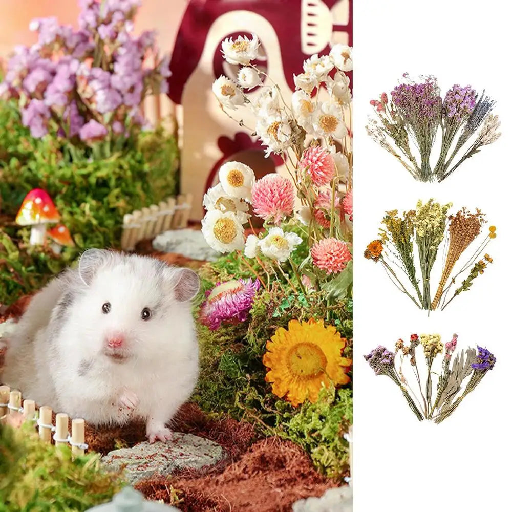 Flower And Plant Bedding Hamster Deodorizing Bedding Golden Bear Nest Landscaping Supplies Dried Flowers