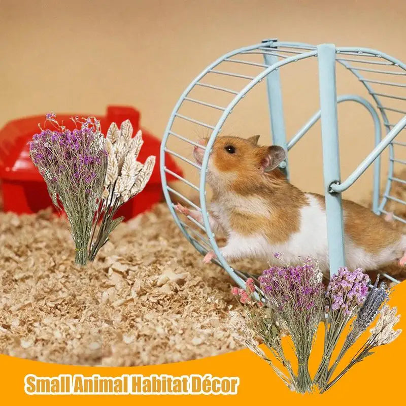 Flower And Plant Bedding Hamster Deodorizing Bedding Golden Bear Nest Landscaping Supplies Dried Flowers