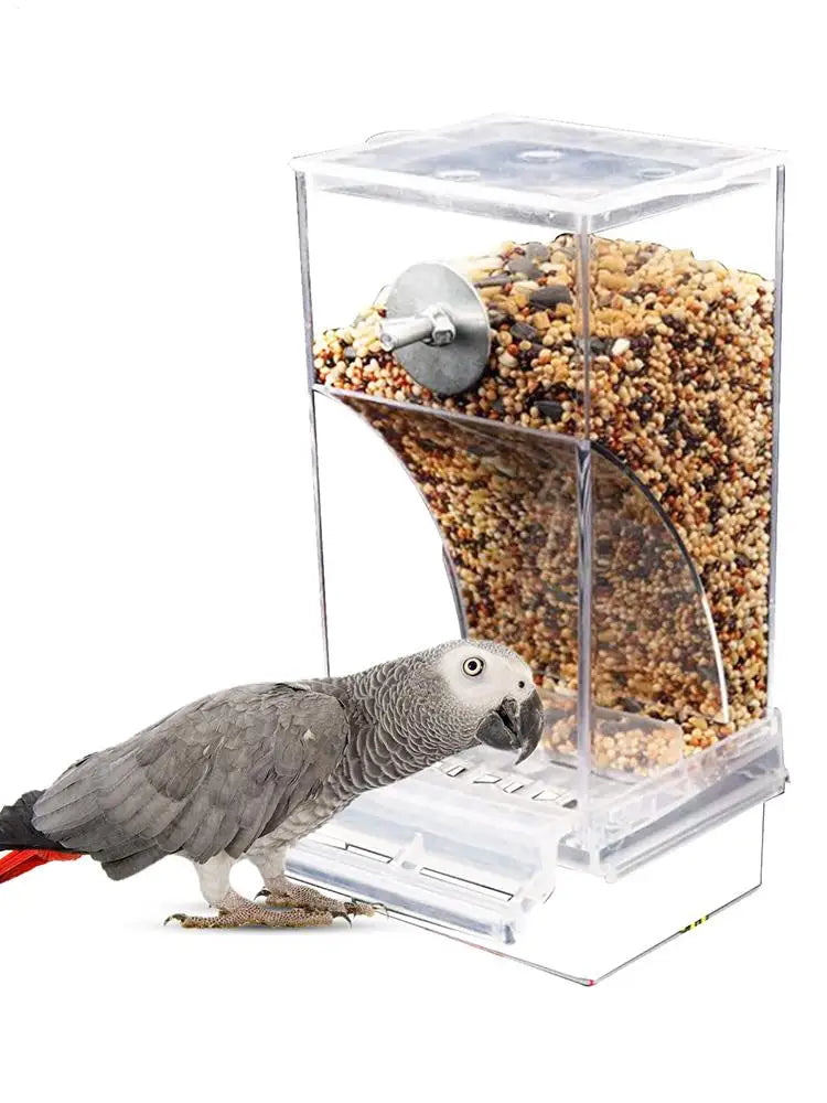 Acrylic Bird Feeders Anti Spill Automatic Parrot Feeder Drinker TransparentParakeet Feeders For Bird Cage Cage Accessories