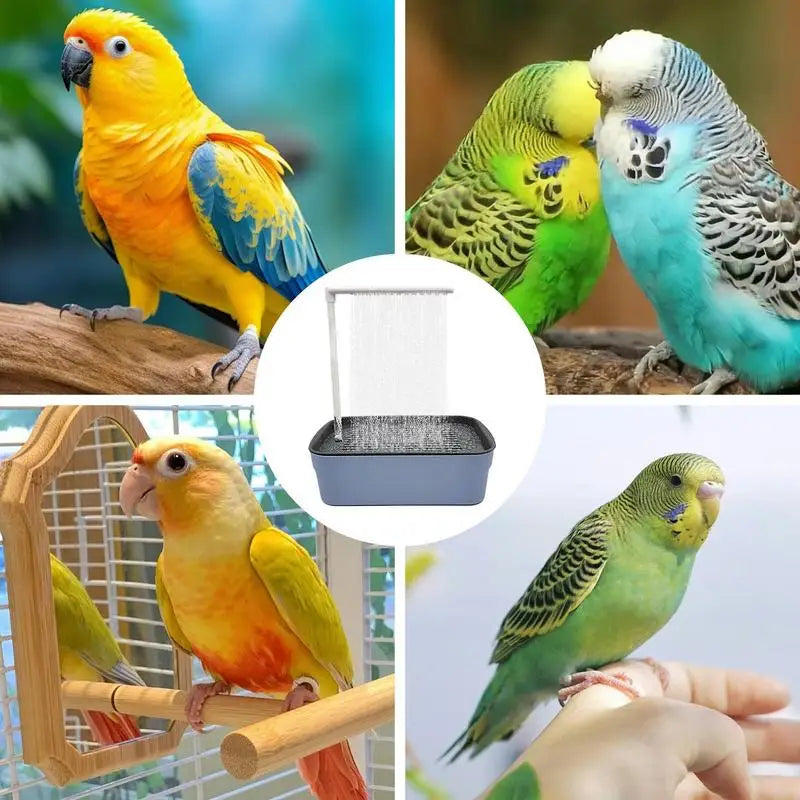 Automatic Pet Bird Bath USB Electric Large Bird Bathtub Shower Multipurpose Bird Bathtub Parrot Bathtub For Parakeet Cleaning