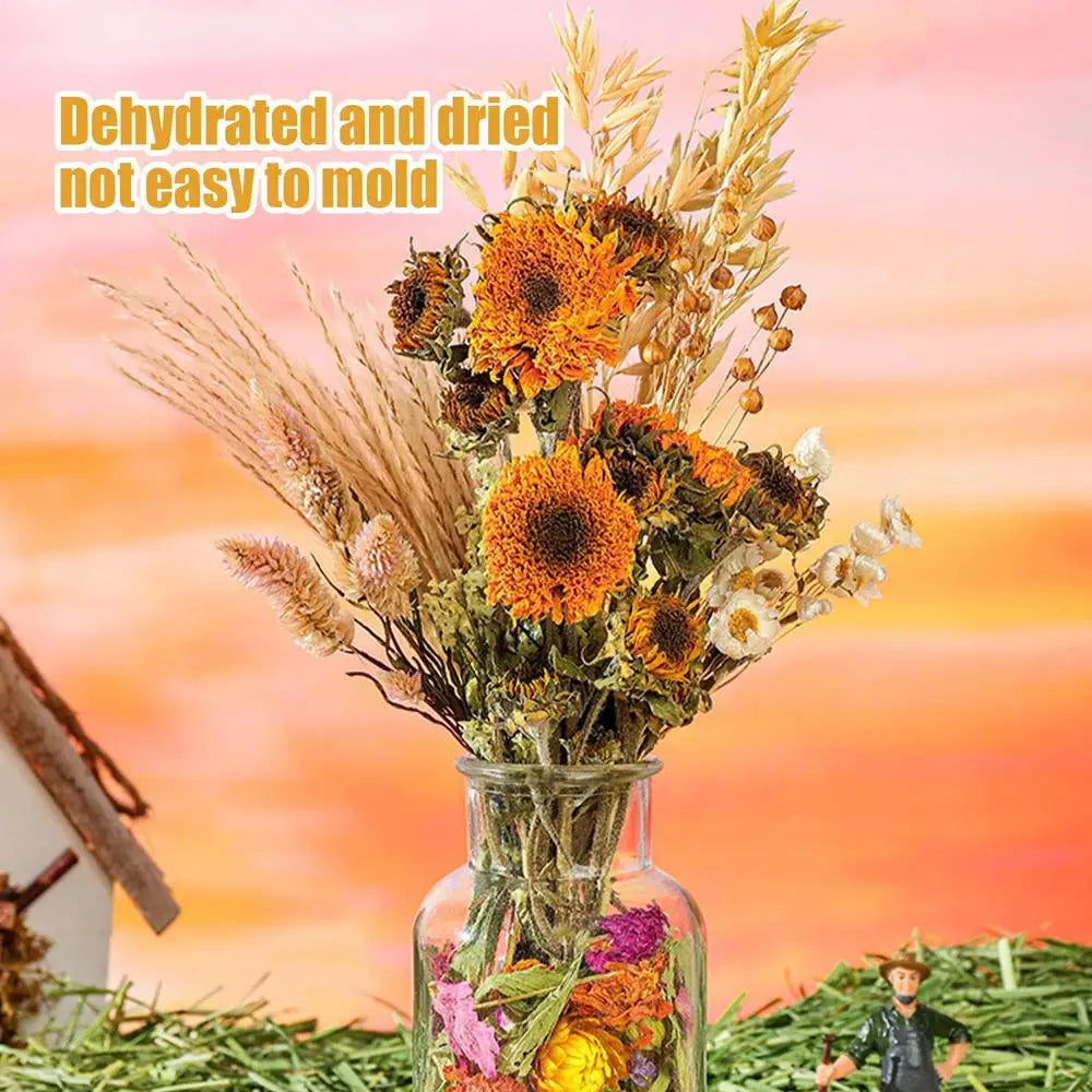 Flower And Plant Bedding Hamster Deodorizing Bedding Golden Bear Nest Landscaping Supplies Dried Flowers