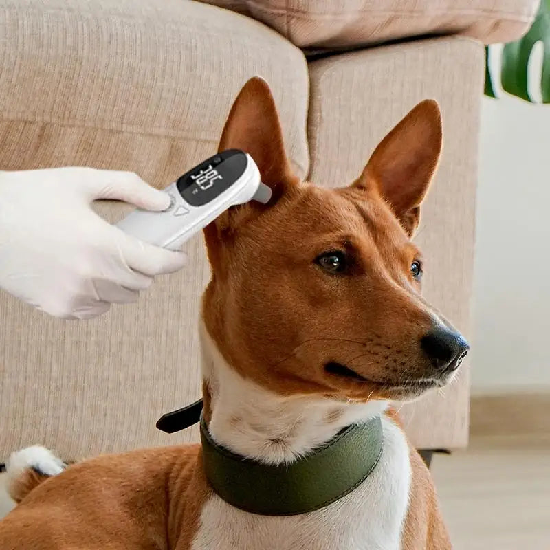 Pet Dog Cat Ear Digital Thermometers Pet Thermometers Animal Measuring Non-Contact Electronic Highly Accurate Pet Supplies