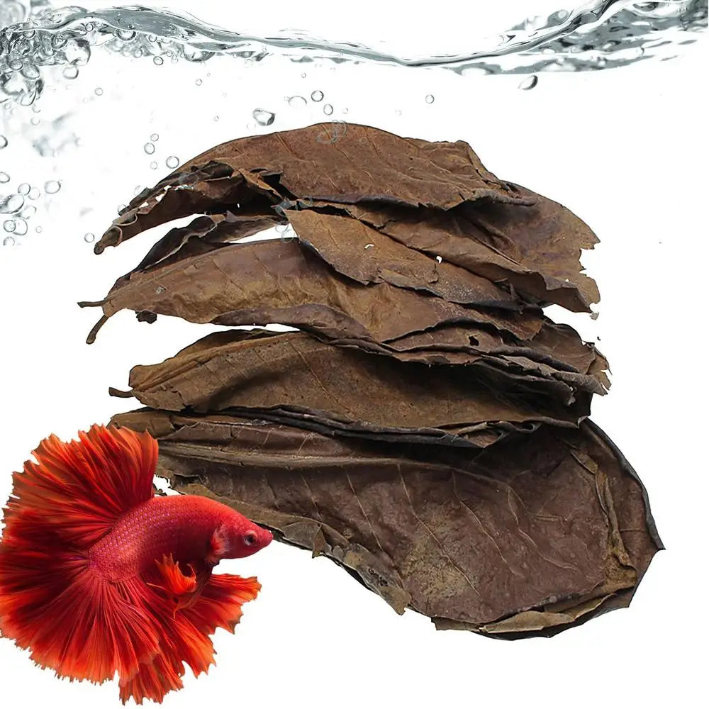 Catappa Leaf Betta Shrimp Leaves Aquarium Almond Leaf Lower pH Improve Water Quality Level Water Conditioner For Aquarium Turtle