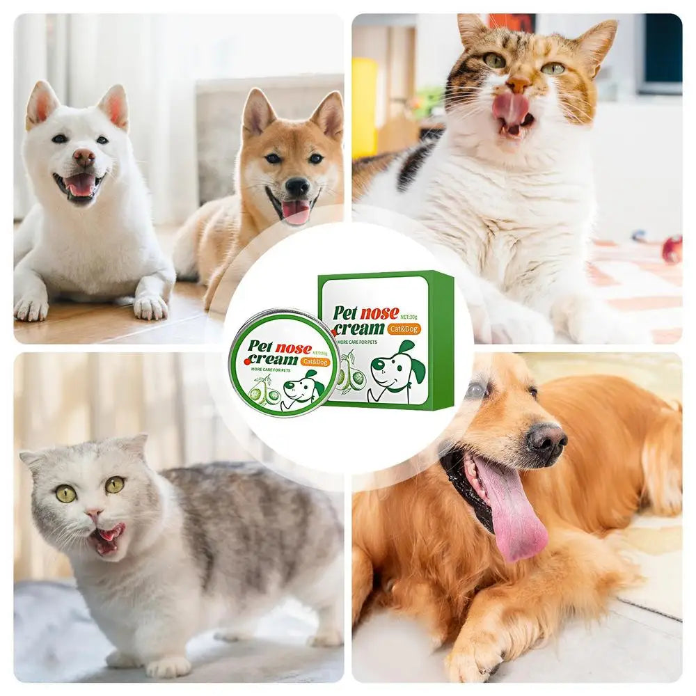 Pet Nose Balm For Dogs Moisturizing Natural Snout Soother Nose Balm Effective Dog Balm Rapid Absorption Nose Cream For Pet Dog