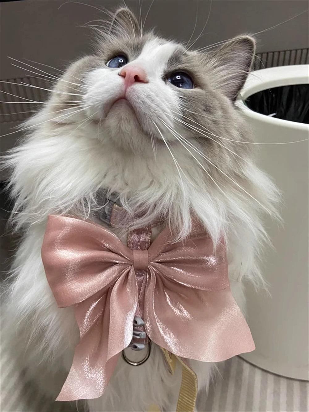 Cute Bowknot Cat Harness Accessories Princess Cat Dress Costumes Kitten Puppy Harness For Cats Leash